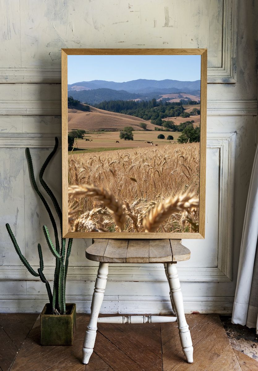 Golden Wheat Hills Landscape Print. — room view 1