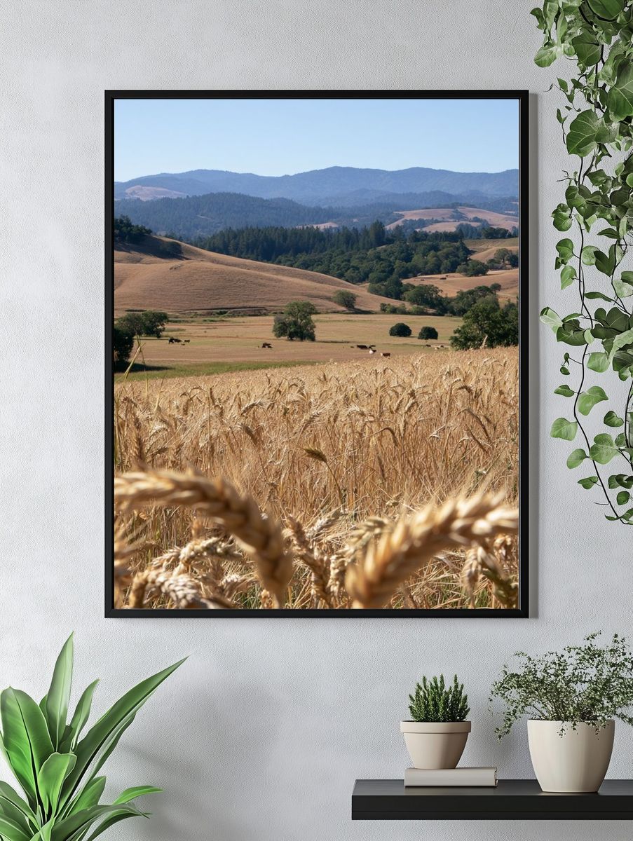 Golden Wheat Hills Landscape Print. — room view 4
