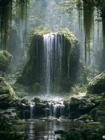 Misty Forest Waterfall Photography Poster.