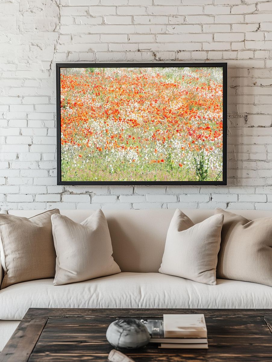 vast field white red flowers. room preview