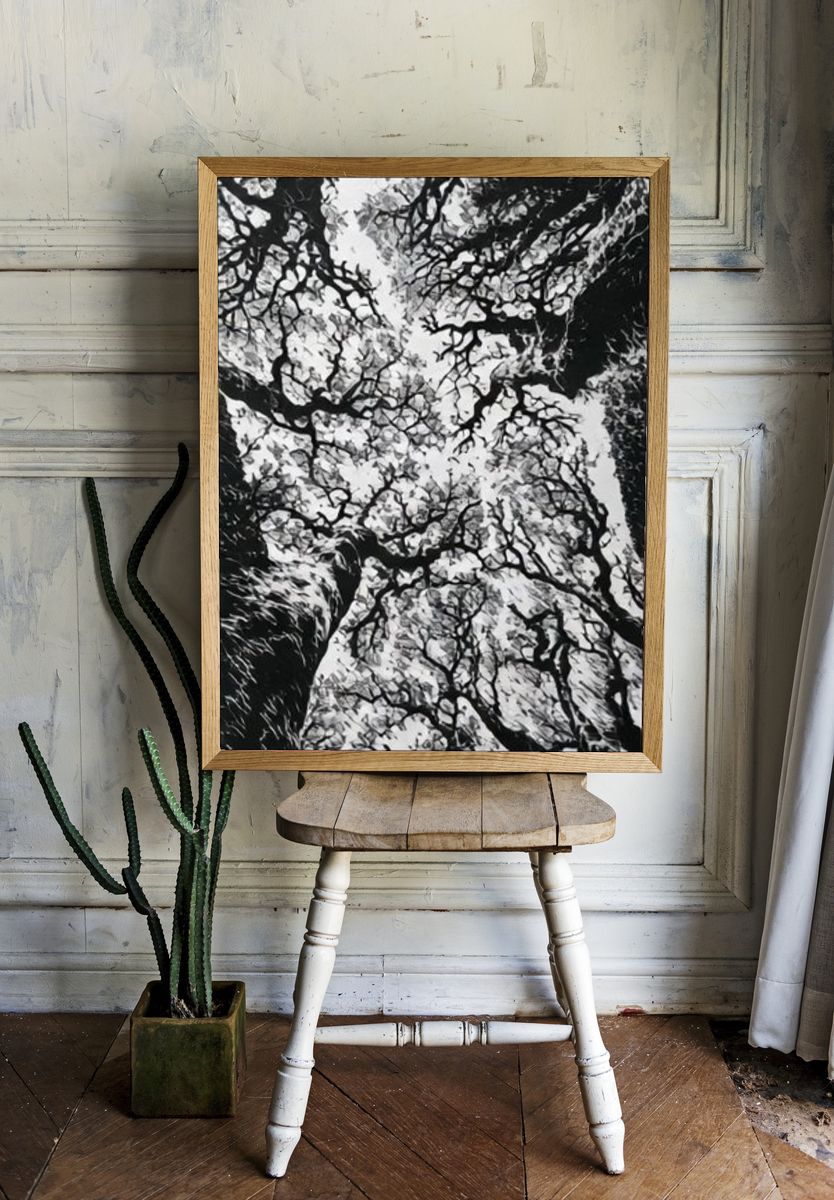 Canopy of Bare Trees Photography Poster. — room view 1