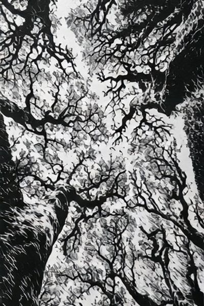 Canopy of Bare Trees Photography Poster.