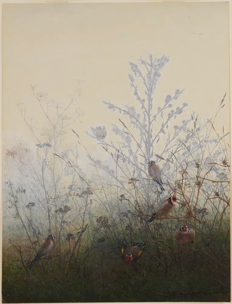 Goldfinches in Misty Landscape Poster. poster detail