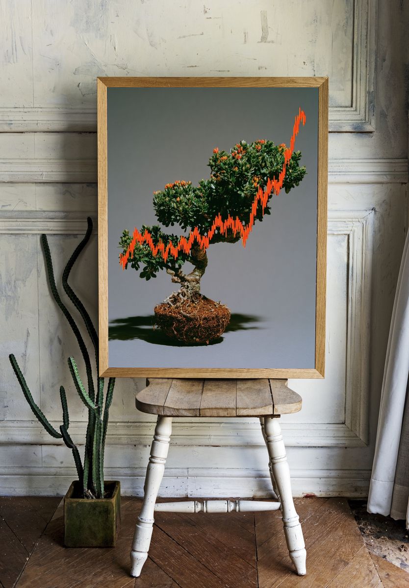 Bonsai Growth Chart Photography Poster. room preview