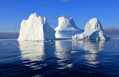 Majestic Icebergs — Nature Print