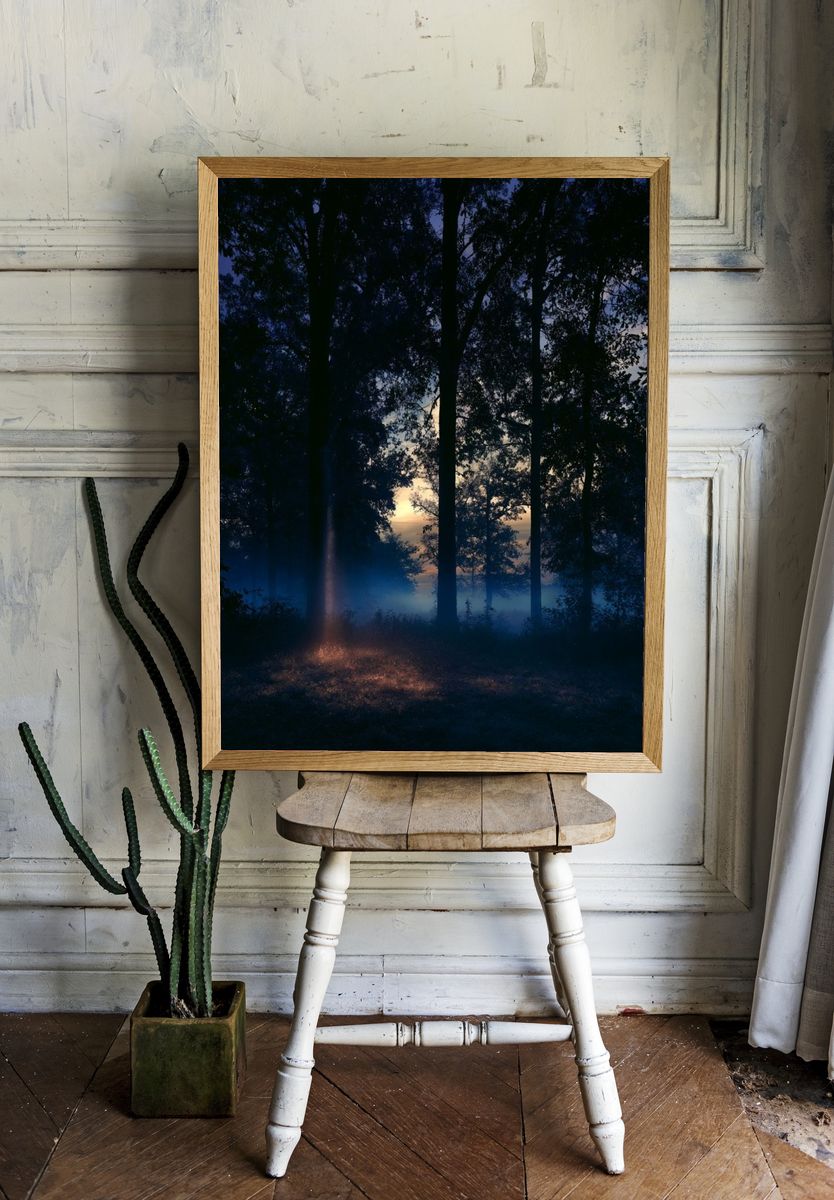Misty Forest Dawn Poster. room preview