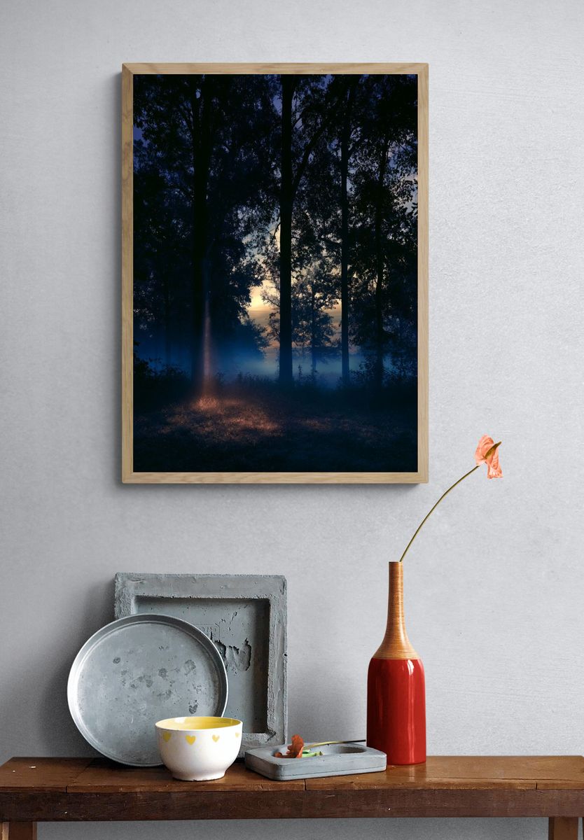 Misty Forest Dawn Poster. — room view 3