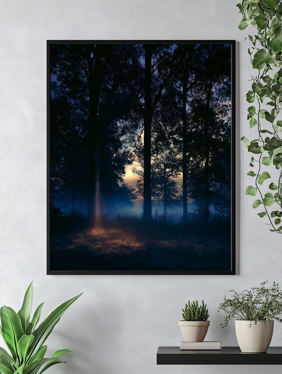 Misty Forest Dawn Poster. — room view 4