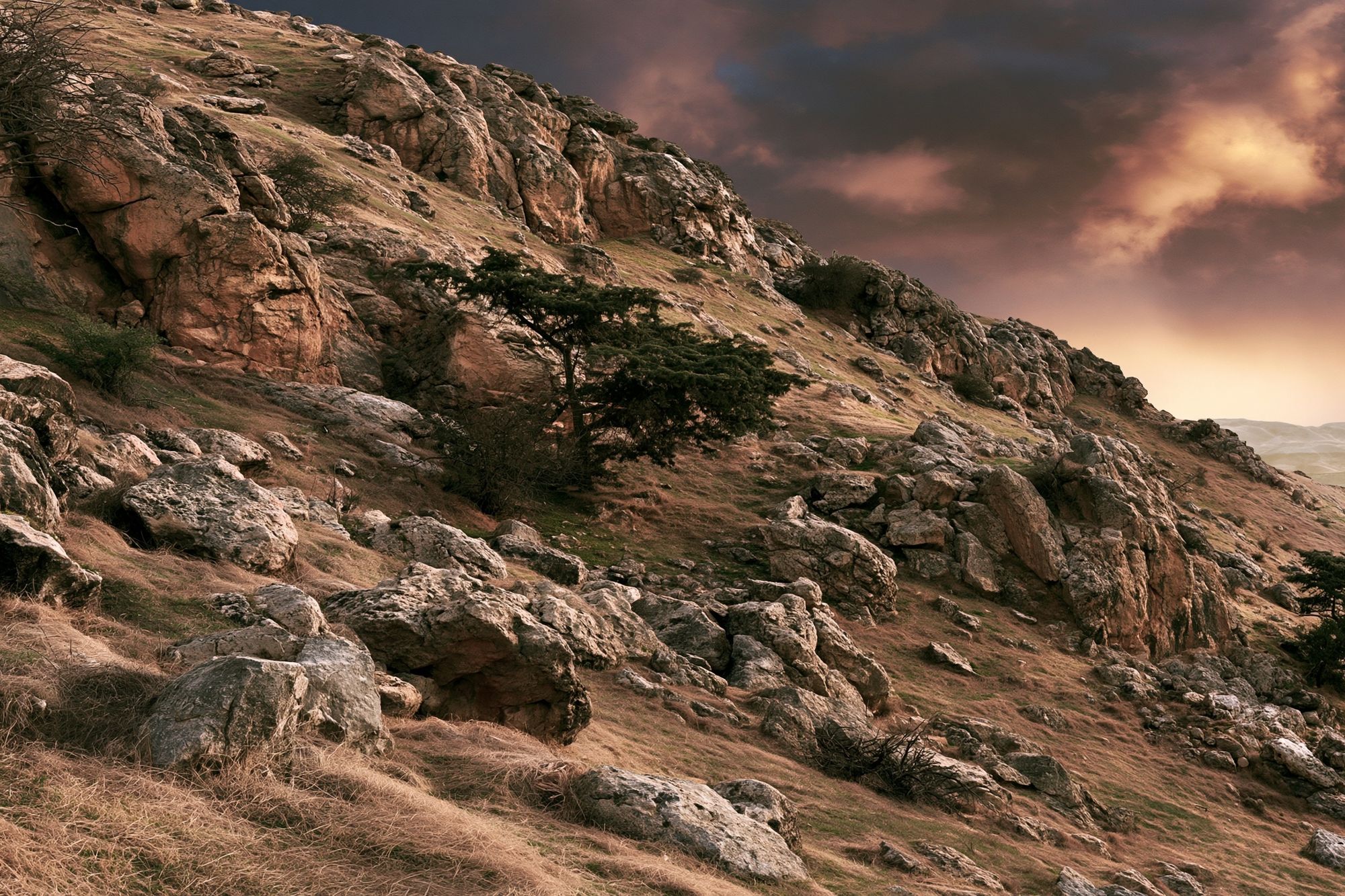 Rocky Hillside Sunset Landscape Poster. poster detail