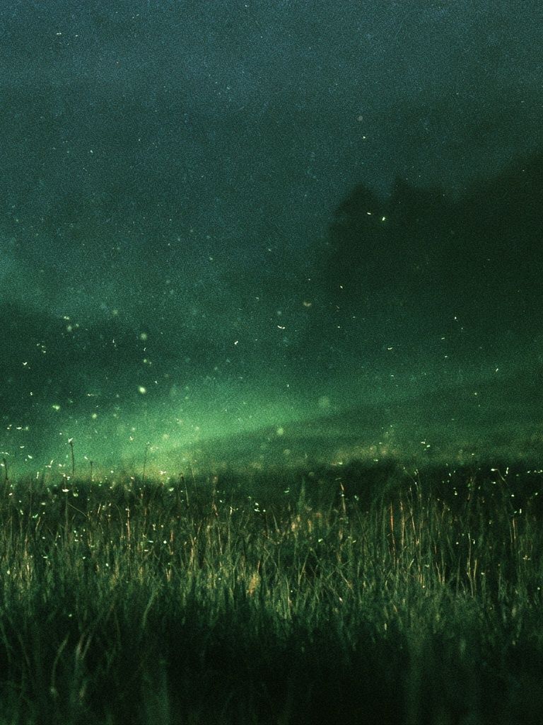 Firefly Meadow Night Poster. poster — nature art