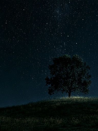 Starry Night Tree Poster. poster — nature art