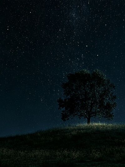 Starry Night Tree Poster. poster