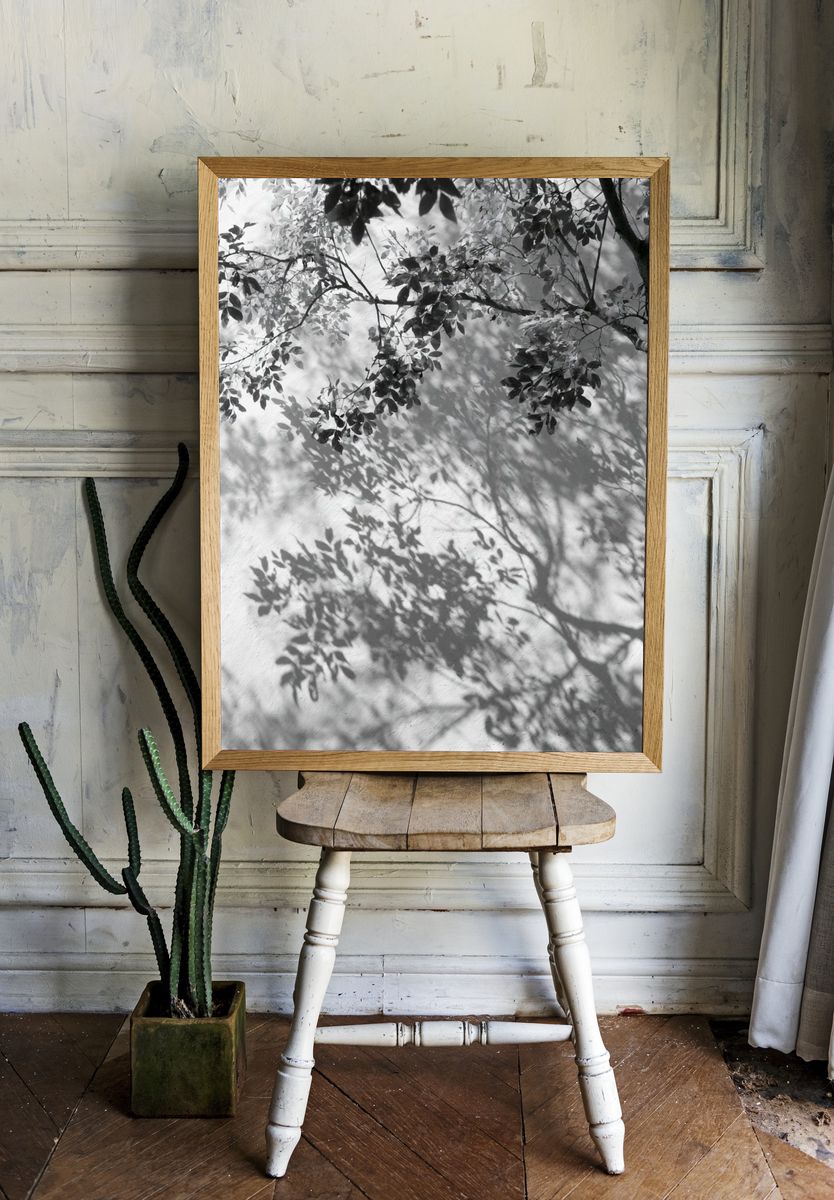 Tree Shadows Black-White Print. — room view 1