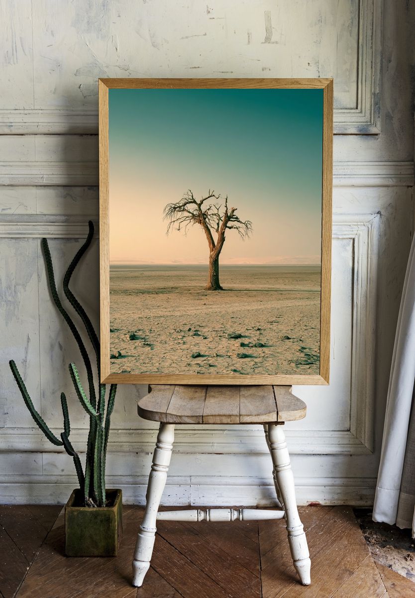 Solitary Desert Tree Poster. — room view 1