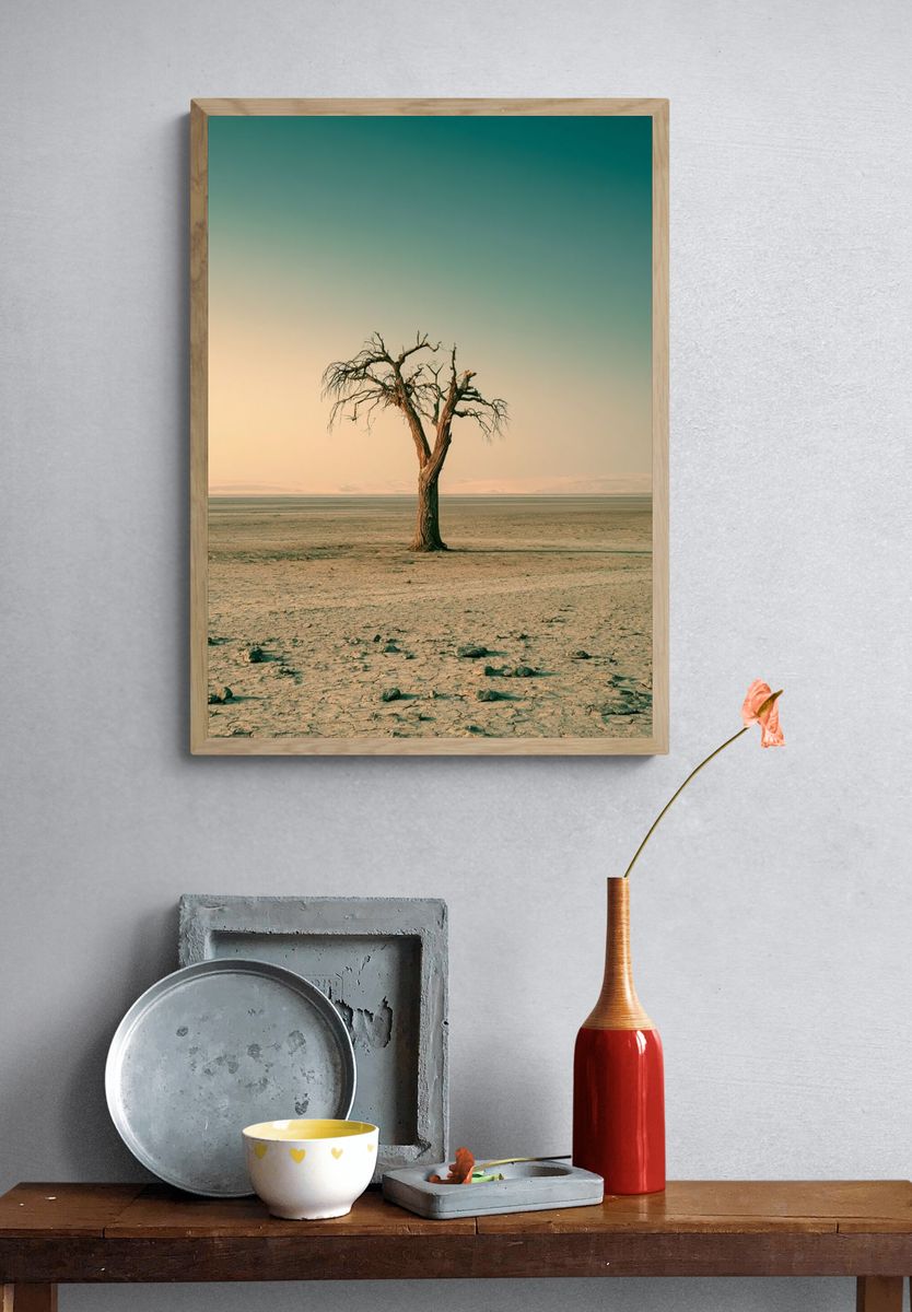 Solitary Desert Tree Poster. — room view 3