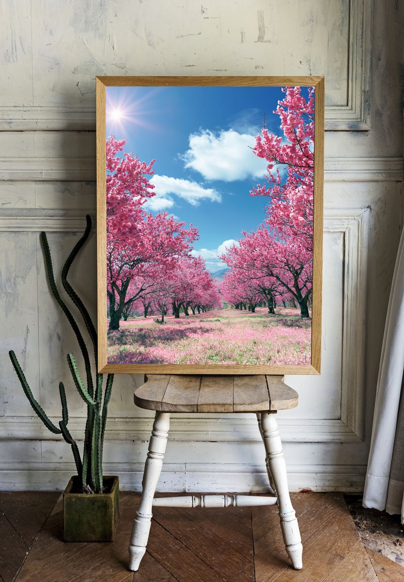 Pink Cherry Blossom Orchard Poster. — room view 1