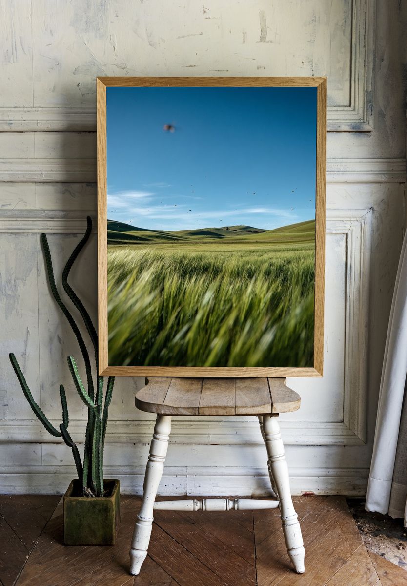 Lush Green Fields Under Blue Sky — Nature Print. room preview