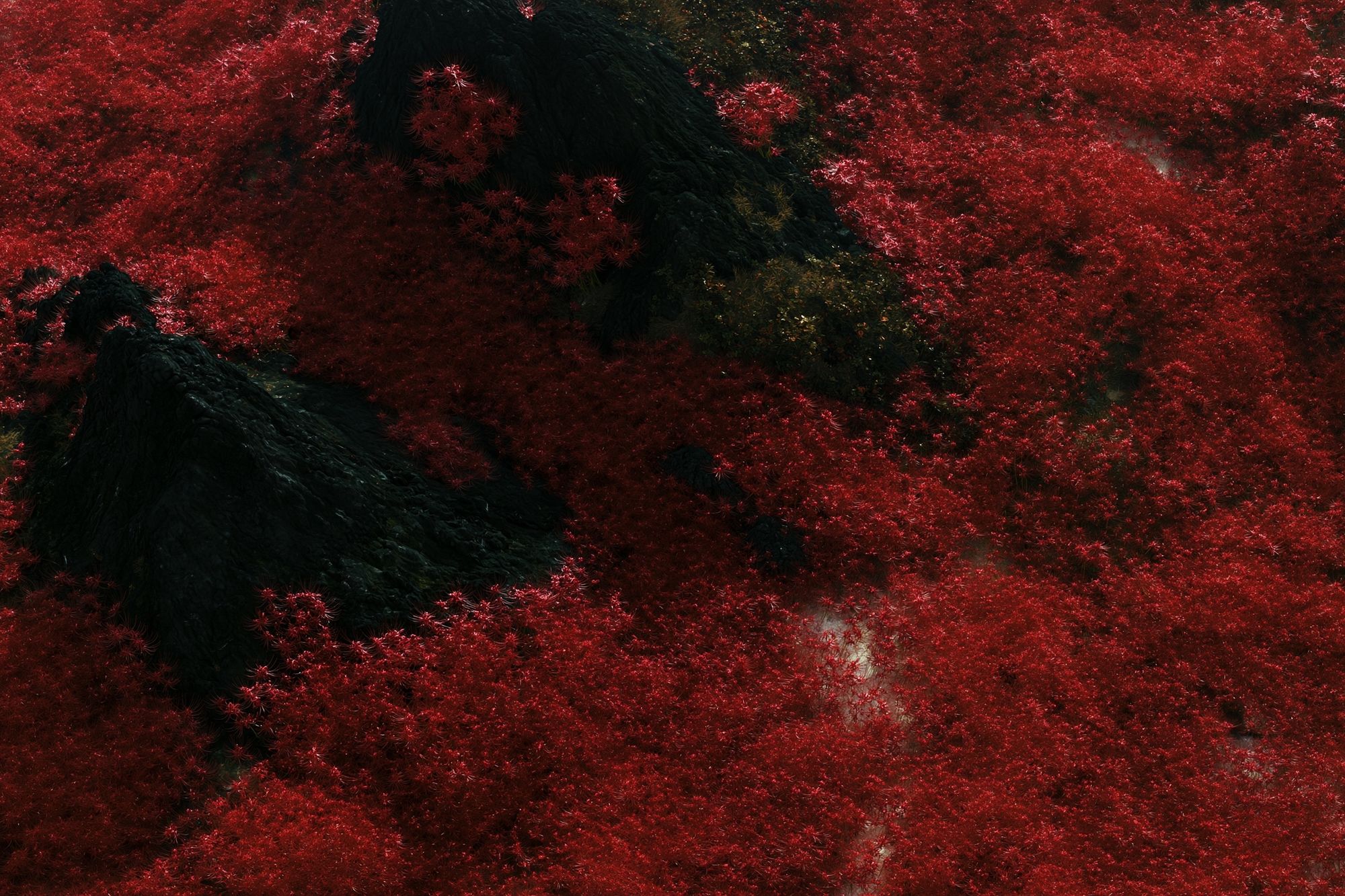 Crimson Forest Abstract Landscape Print. poster — nature art