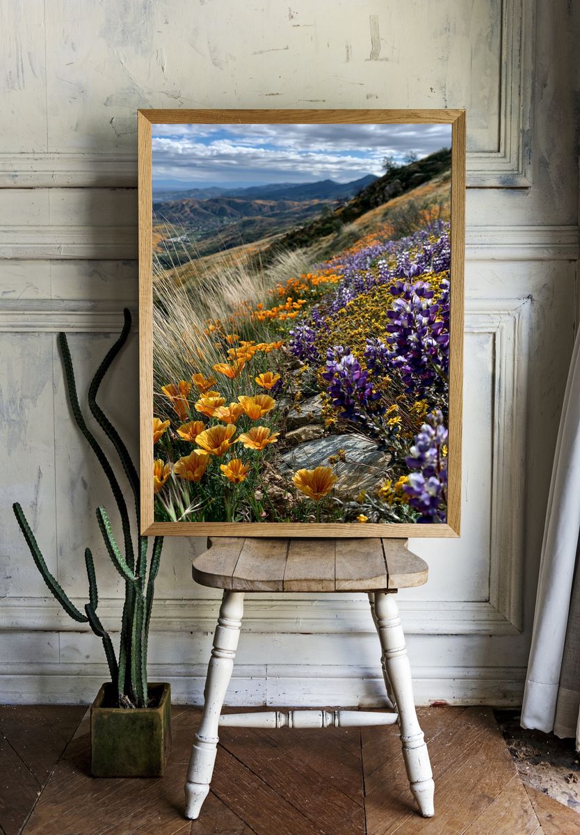 Wildflower Mountain Meadow Photography Poster. — room view 1