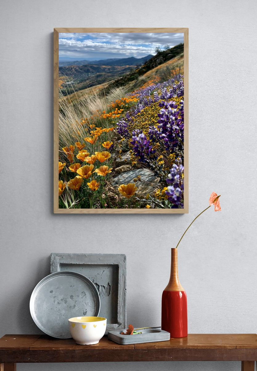 Wildflower Mountain Meadow Photography Poster. — room view 3
