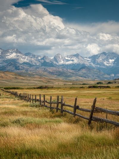 Mountain Landscape — Nature Print. poster
