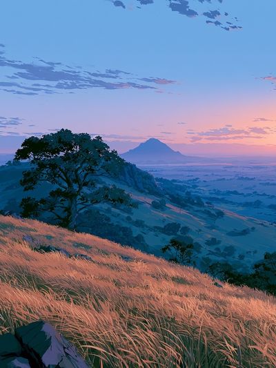 Sunset Mountain Meadow Print.