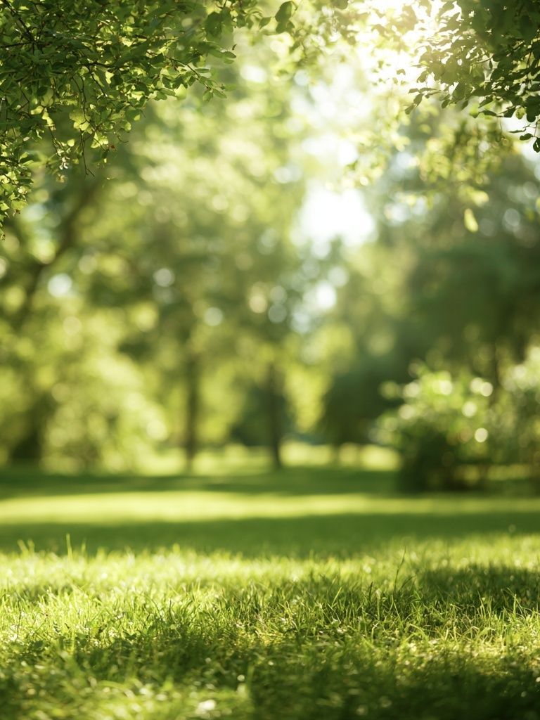 Sunlit Green Meadow Photography Poster. poster detail