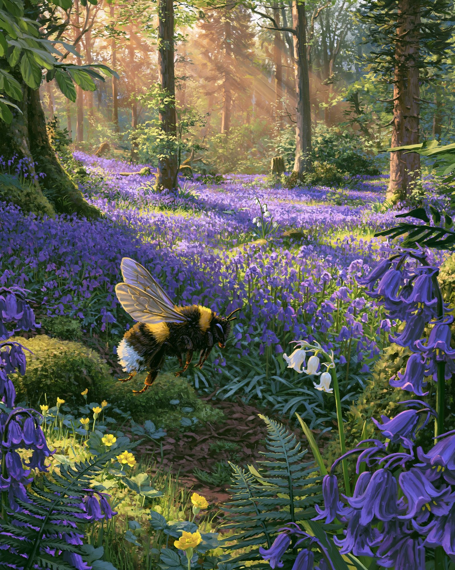 Sunlit Bluebell Forest Poster. poster detail