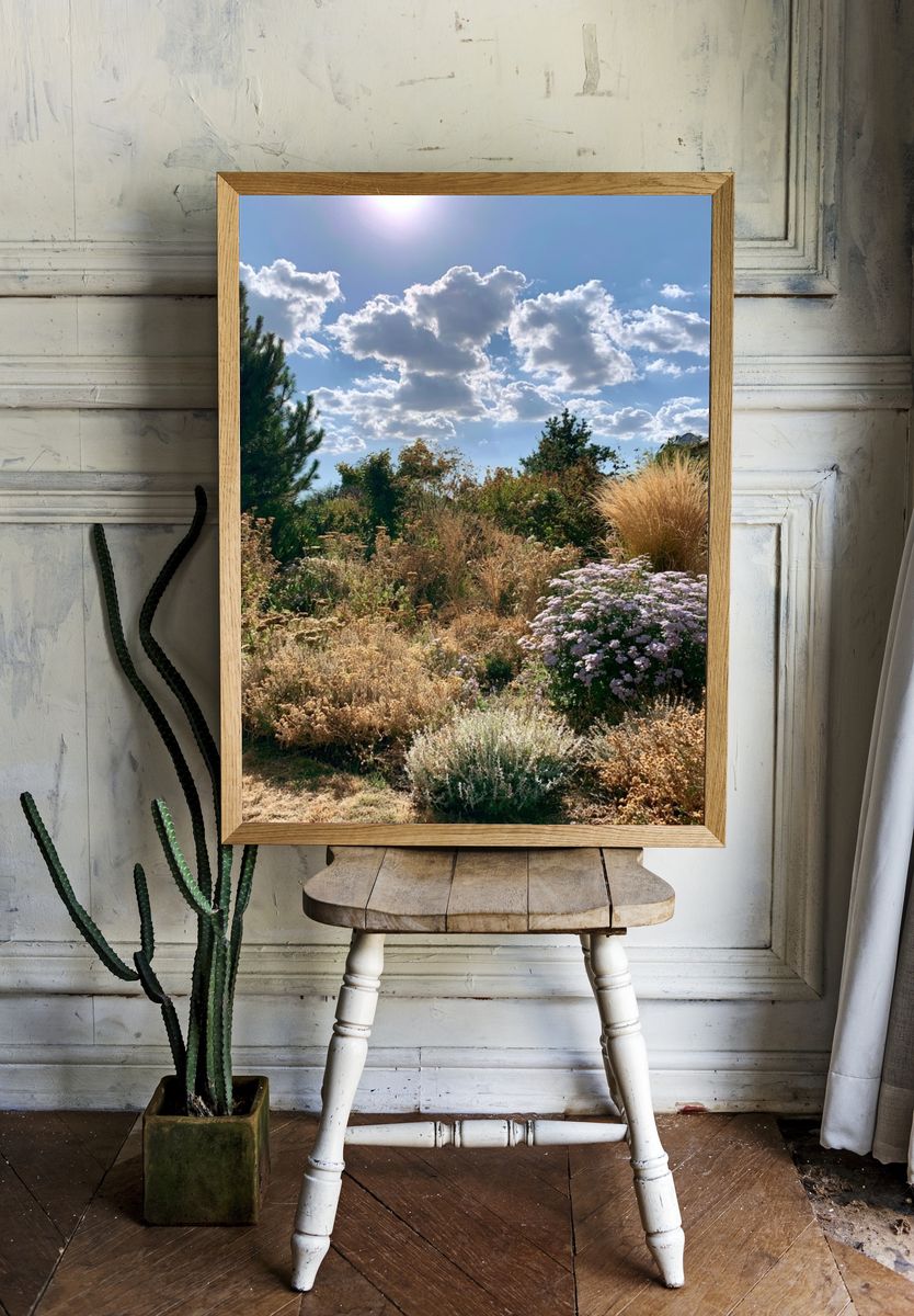 Sunlit Cottage Garden Photography Poster. room preview