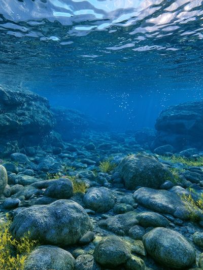 Underwater Rocky Seascape Print.