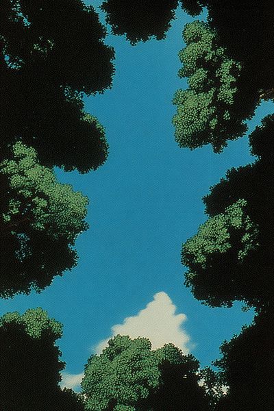 Canopy Sky Forest Poster.