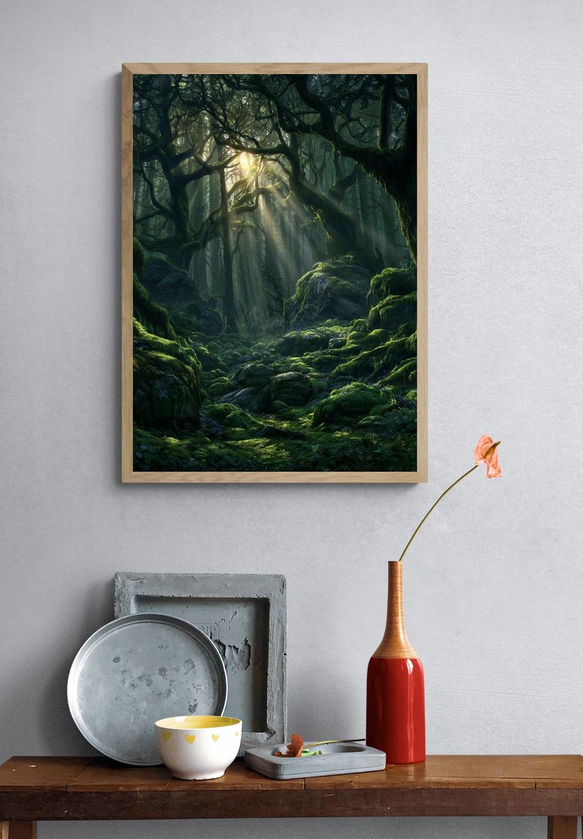 Enchanted Moss Forest Print. — room view 3
