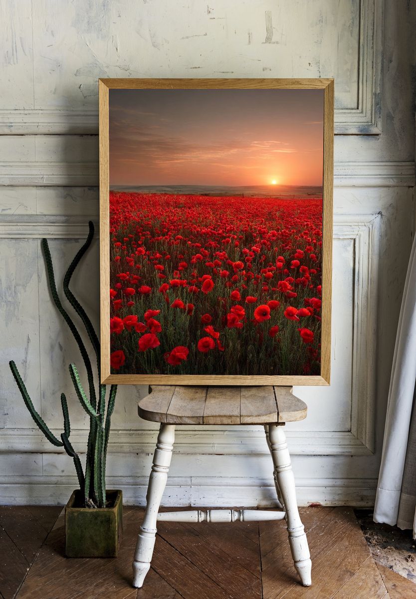 Poppy Field Sunset Nature Print. — room view 1