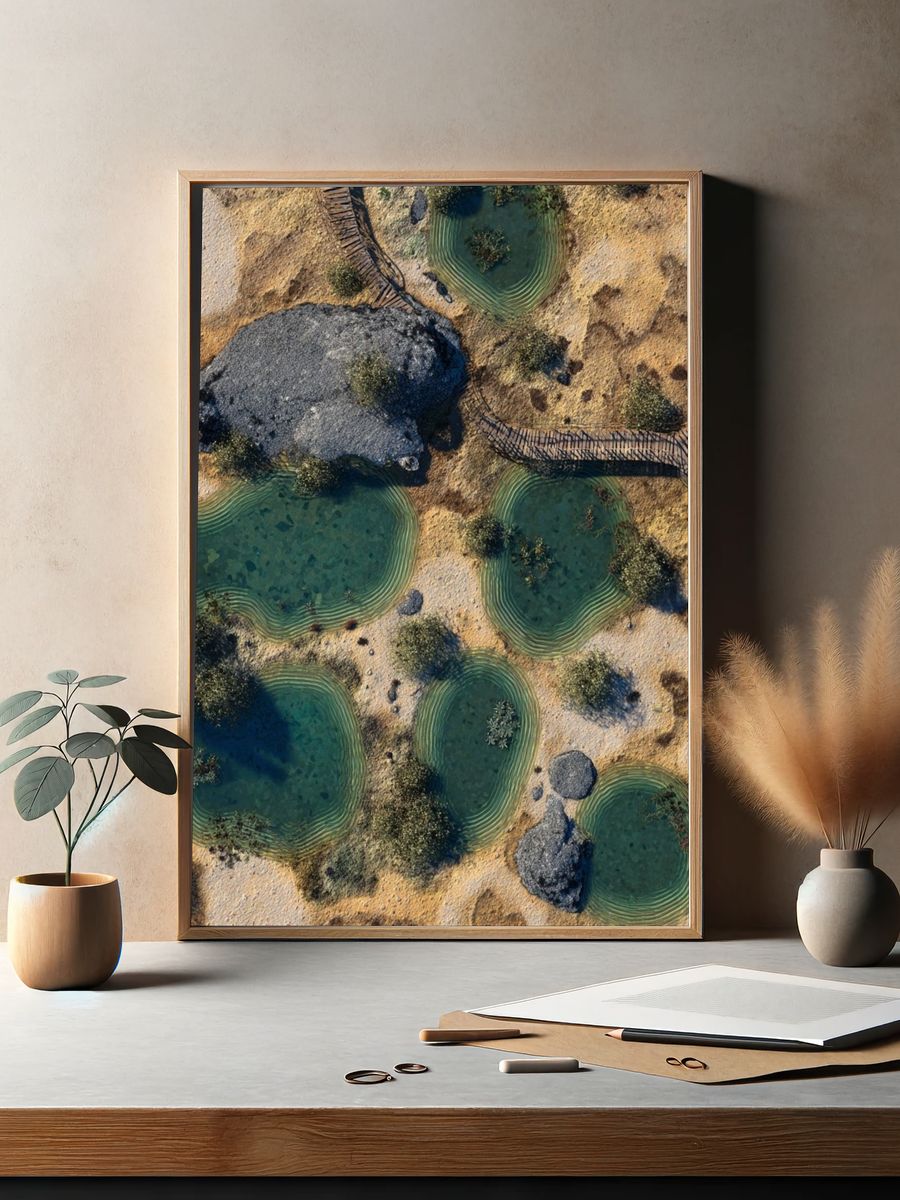 Aerial of Desert Oasis — Nature Print. — room view 2