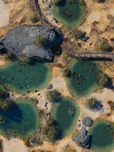 Aerial of Desert Oasis — Nature Print.