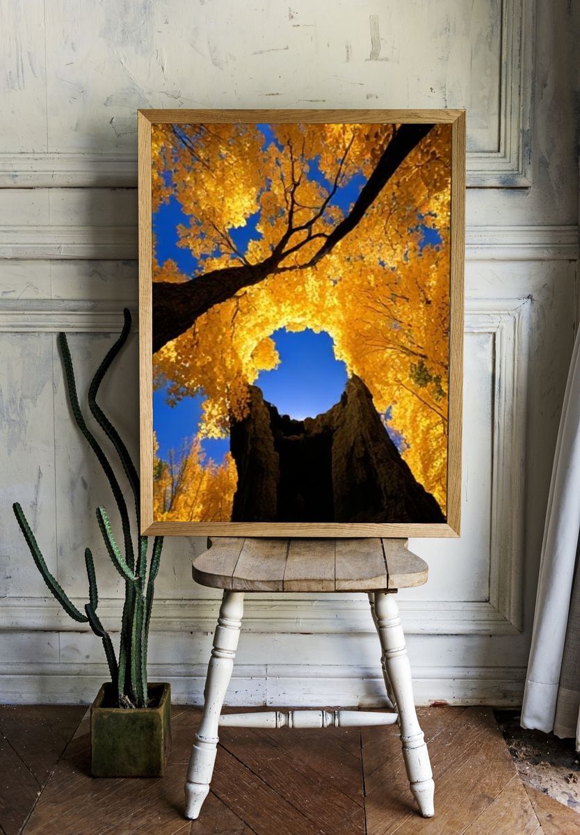 Golden Autumn Trees Poster. — room view 1
