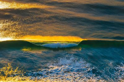 Golden Ocean Wave Print. poster