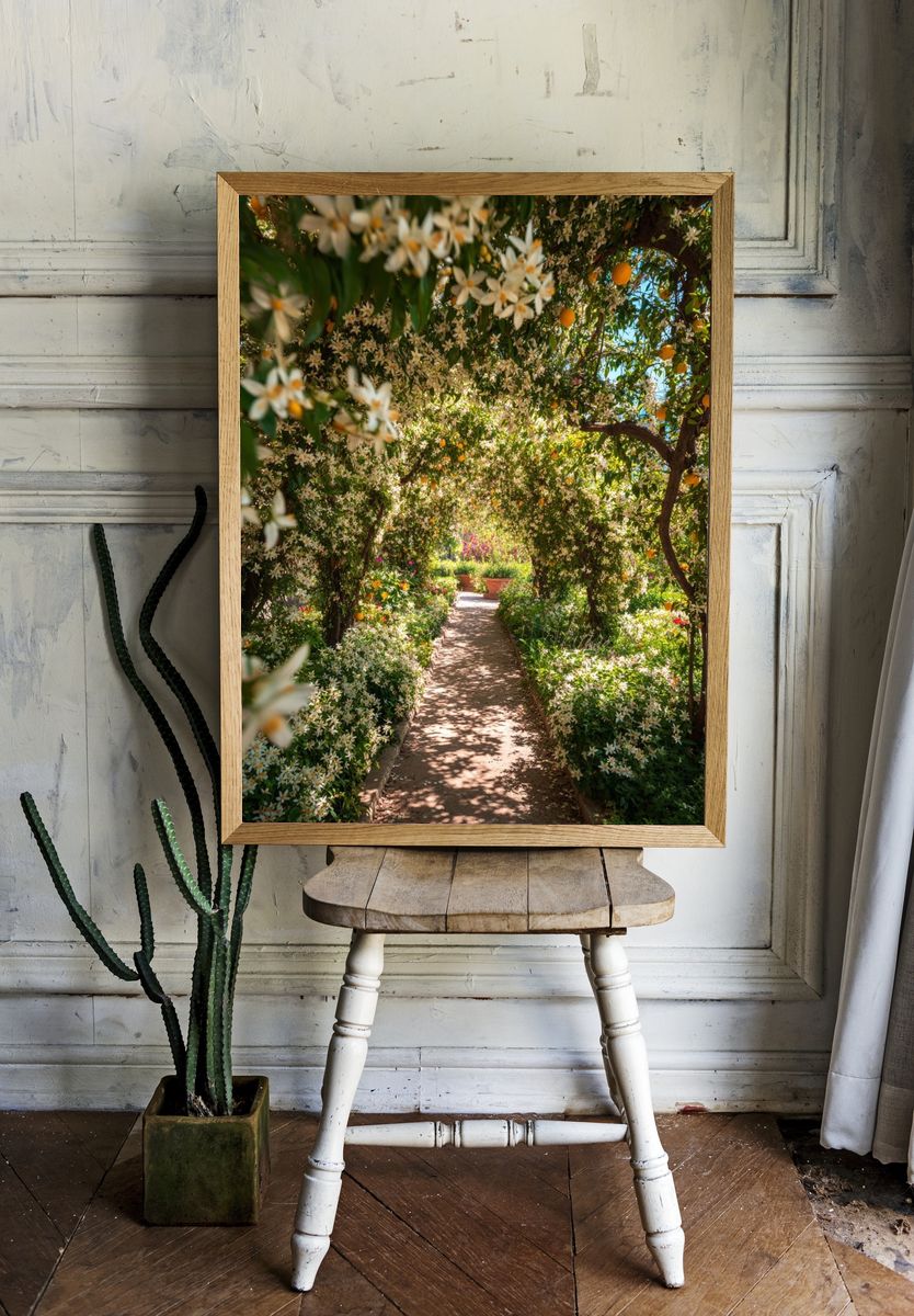 Citrus Garden Path Photography Poster. — room view 1