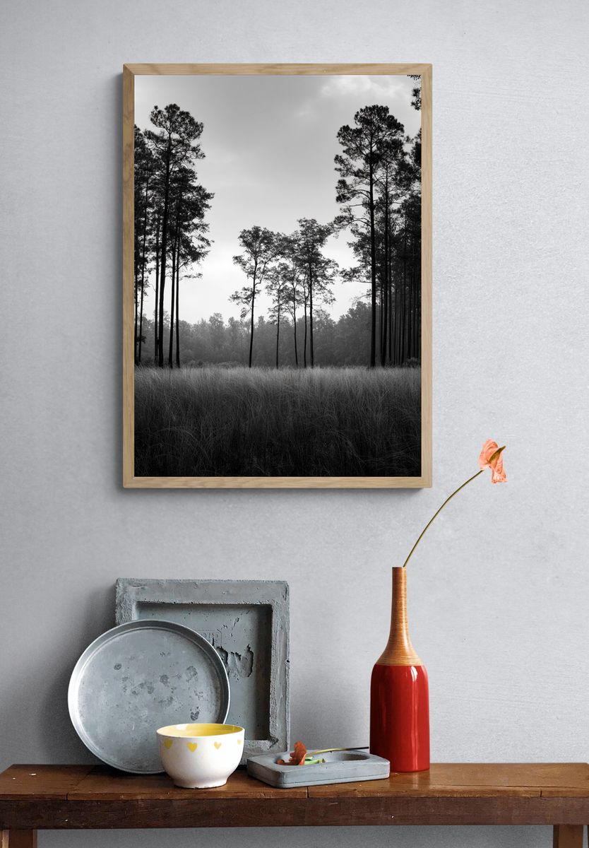 Misty Pine Forest Black-White Poster. — room view 3
