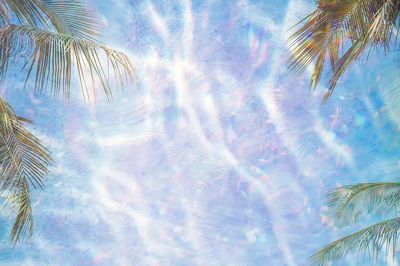 Shiny holographic tropical background design.