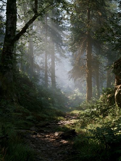 Misty Forest Path Poster. poster