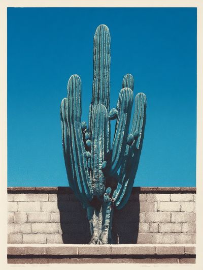 Blue Cactus Desert Print. poster