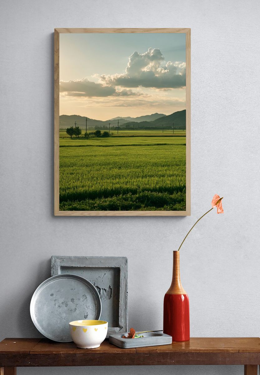 Golden Rice Fields Landscape Poster. — room view 3