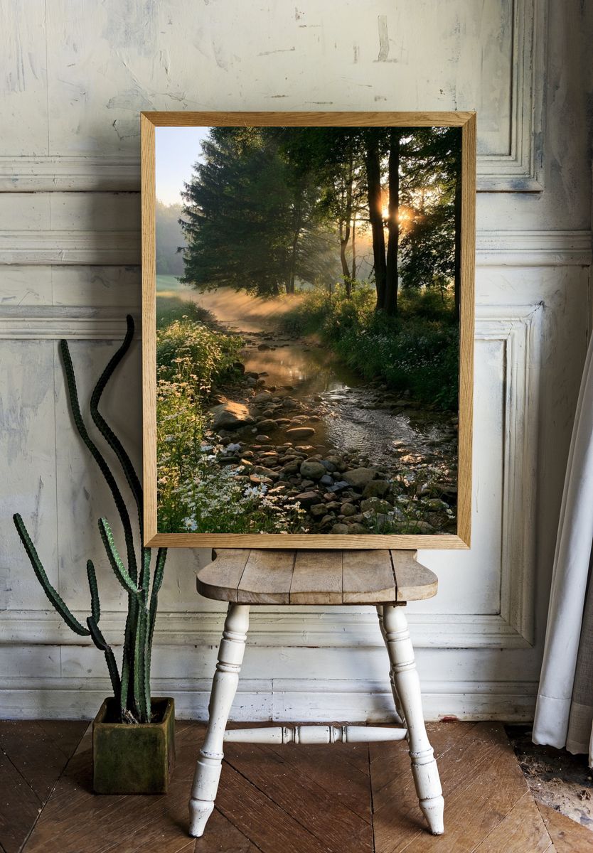 Sunlit Forest Stream Poster. — room view 1