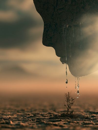 Desert Drop Photography Poster.