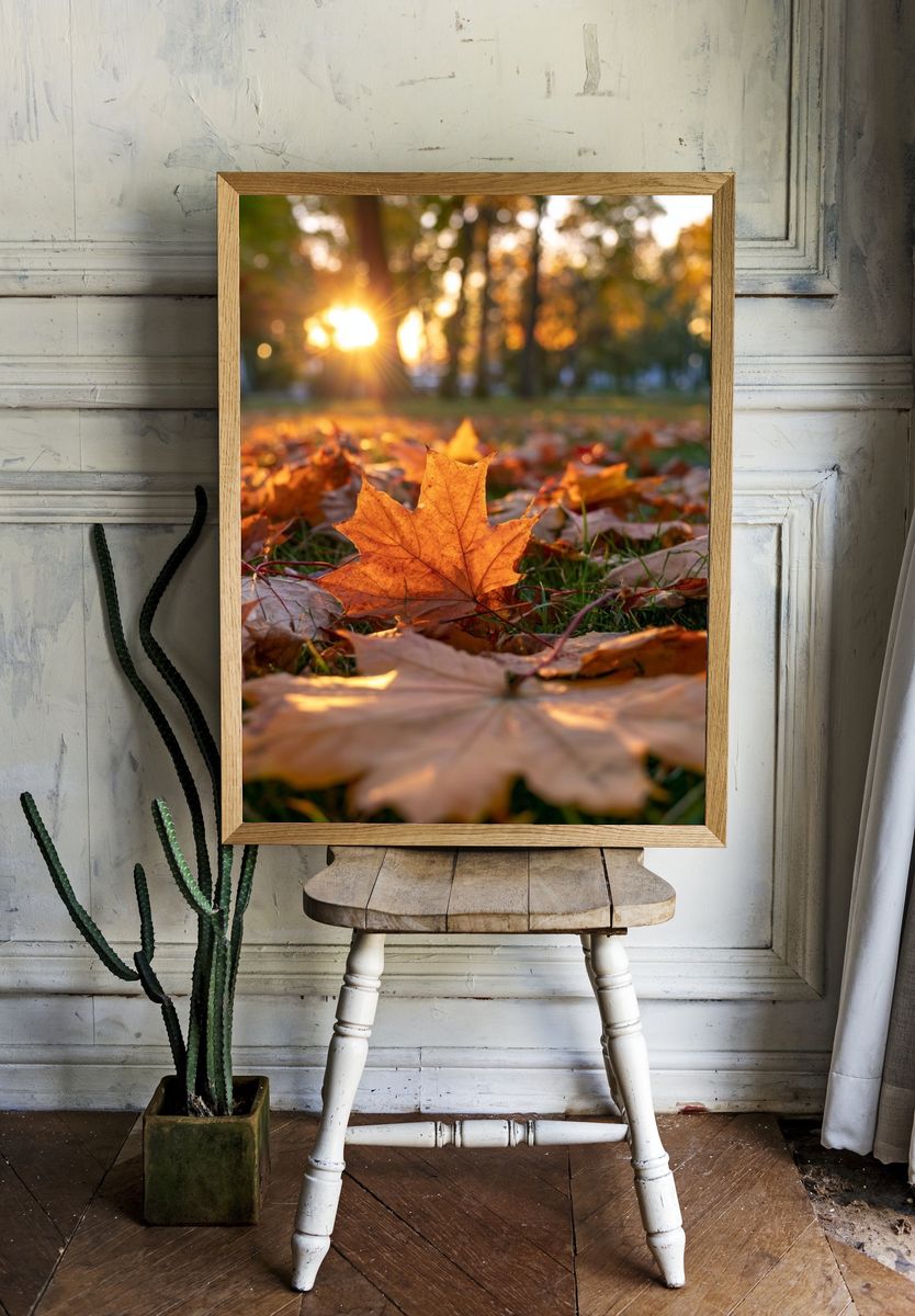 Autumn Leaves at Sunset Poster. — room view 1