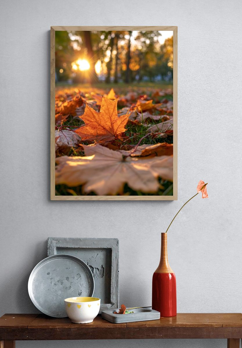 Autumn Leaves at Sunset Poster. — room view 3