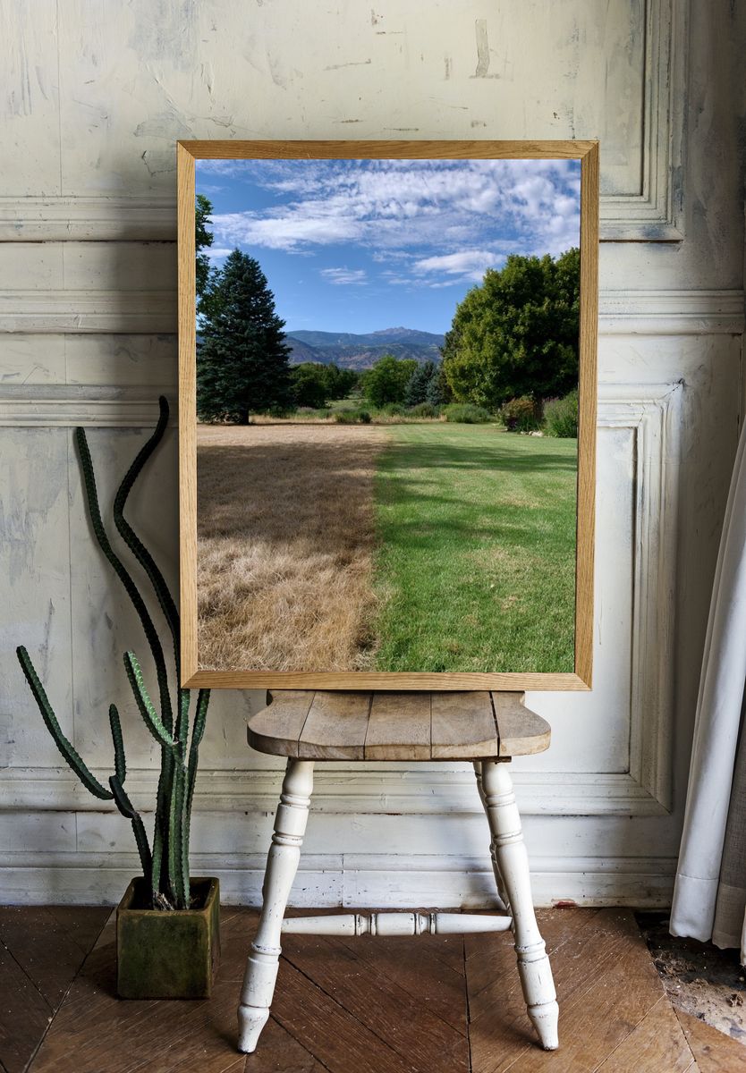 Mountain Meadow Landscape Poster. — room view 1