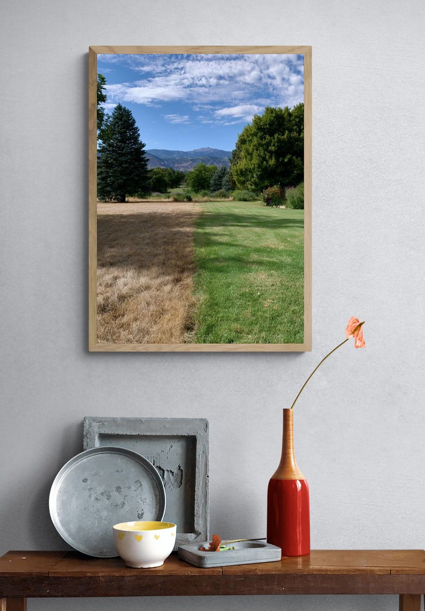 Mountain Meadow Landscape Poster. — room view 3
