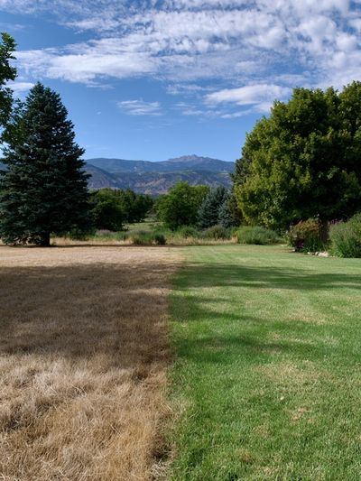 Mountain Meadow Landscape Poster.